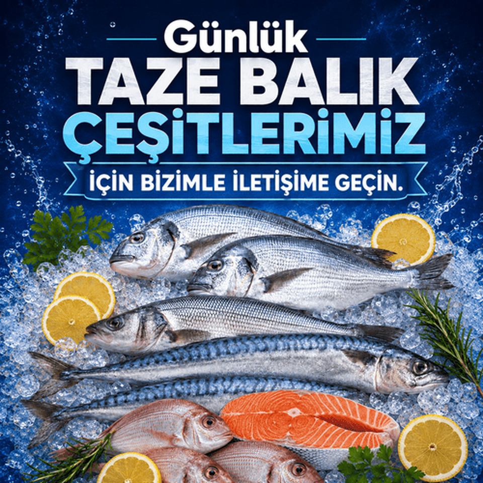 Günlük Taze Balık